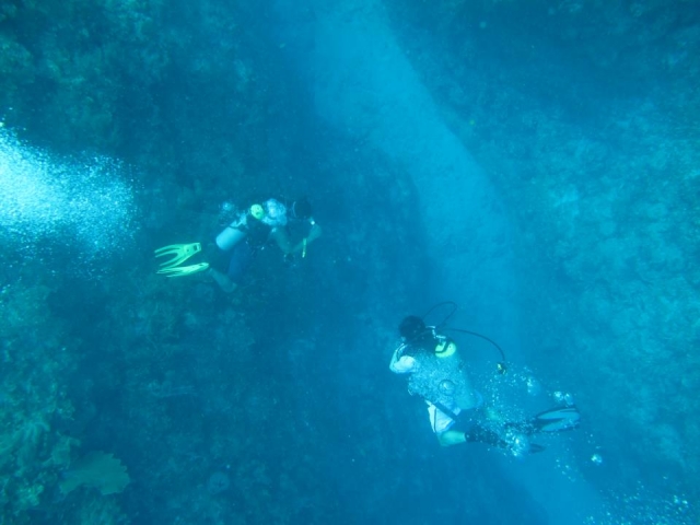  diving exploration 